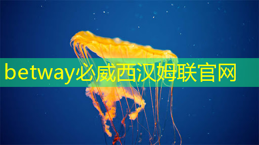 betway必威西汉姆联官网：商显智慧屏评测：为商业展示赋予智慧之光