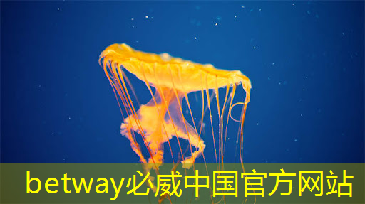 betway必威中国官方网站：数字化转型，大视野智慧商显抢占先机