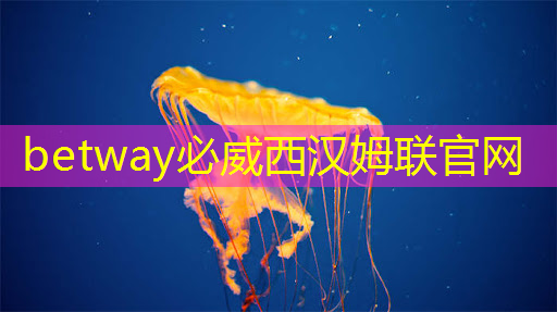 betway必威：一机多用，双投智慧投影仪全面满足你的需求！