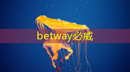 betway必威西汉姆联官网：基于架构创新，后摩智能点亮业内首款存算一体大算力AI芯片