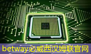 betway必威中国官方网站：技术水平远超华为海思+高通，A股唯一芯片国产替代龙头，下一个大涨1000%的寒武纪