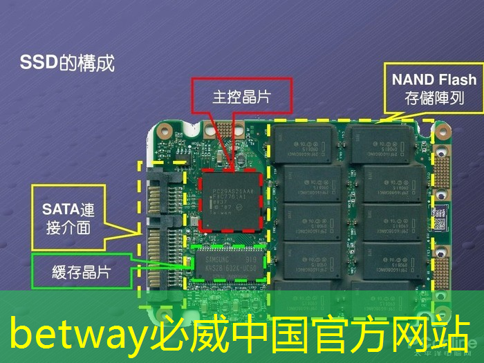 品质生活从视觉开始！智慧树和芝麻投影带您走进家庭娱乐新境界！