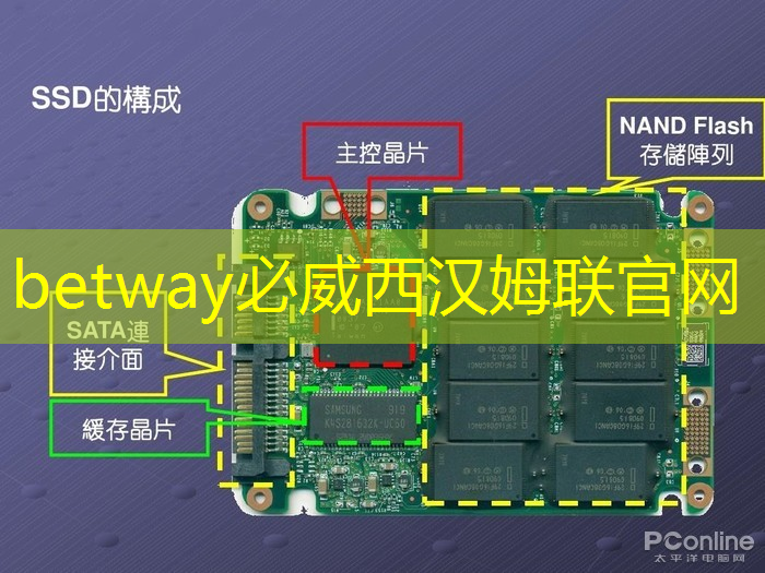 宇宙探索的新方法：剖析四维投影和四维智慧的差异