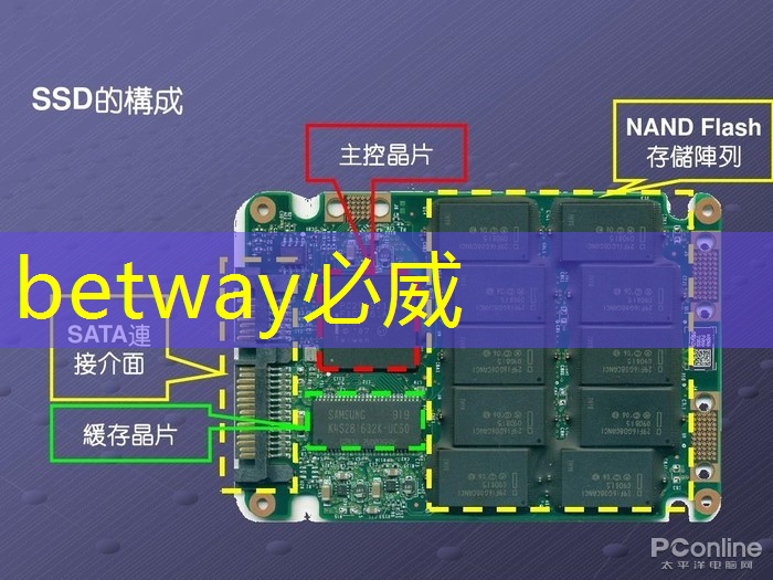 揭示时间与空间的秘密：四维投影与四维智慧的异同对比