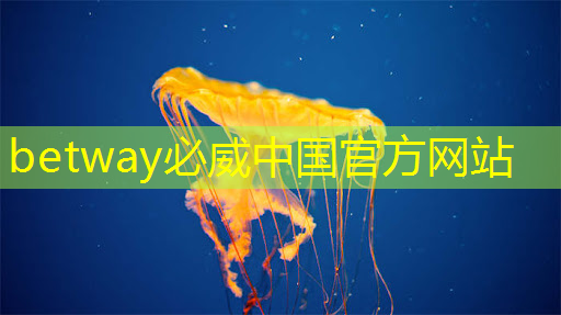 betway必威：迎接数字化时代！商显智慧屏开启全新零售体验！