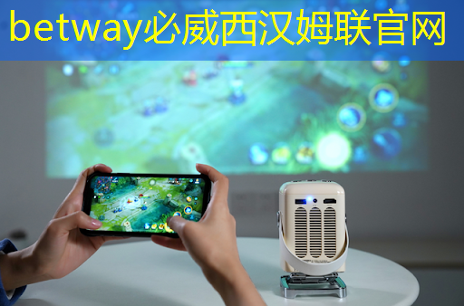 betway必威：越秀区智能仓储物流平台