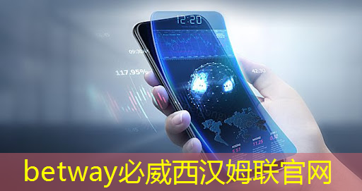 betway必威西汉姆联官网：鼓楼区智慧城市特点